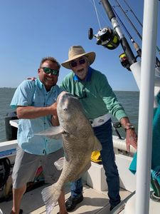 Angler with a large black drum fish in TX
