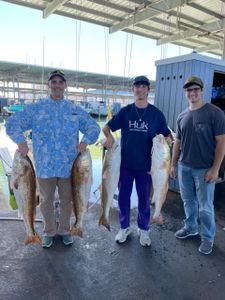 Four people fishing in TX with 4 big fish