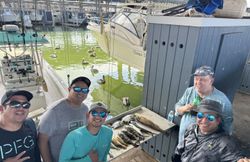 5 people fishing in TX