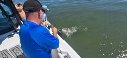 Stunning coastal view of Galveston, showcasing the best of fishing in the area.