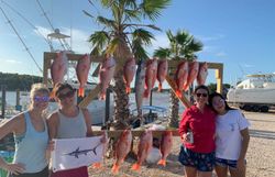 4 people fishing with 6 fish in TX