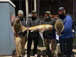 3 southern and summer flounder fishing in TX