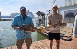 Two big Black Drum fish caught in Galveston