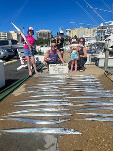 Ribbon fish galore in Virginia Beach, VA