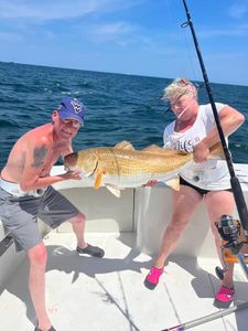 Red drum capture triumph.