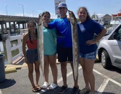 Virginia Beach mackerel delight. 
