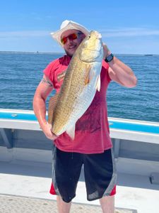 Trophy sized Redfish caught in Virginia Beach, VA