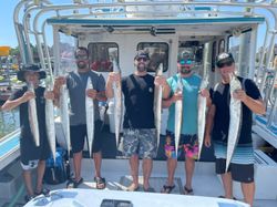 Reeled in Virginia's coastal wonders. 