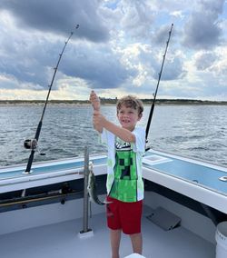 Angler fishing in Virginia Beach
