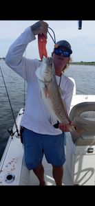 Redfish Gleam In Florida Waters