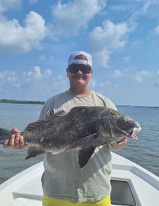 Black Drum fish caught while fishing in St. Augustine