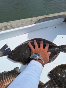 A fishing trip in FL
