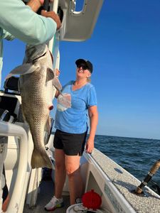 Catch of the day: 48-inch Black Drum fish in Gulf Shores