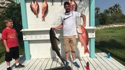 Grey triggerfish caught while fishing in AL
