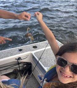 Fishing scene with caught fish being handled on boat in Gulf Shores AL waters