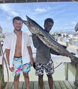Great barracuda fishing catch at Gulf Shores AL marina dock