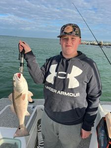 Redfish caught in Gulf Shores