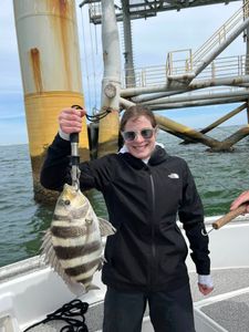 Freshly caught sheepshead fish held up on fishing boat in Gulf Shores AL