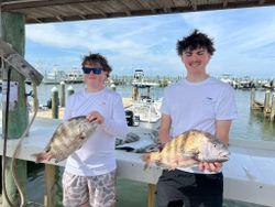 Two sheepshead fish caught during fishing trip in Gulf Shores AL