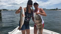 Two black drum fish, 21 inches long, caught while fishing in Alabama