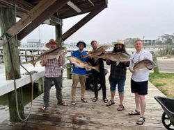 Redfish caught in AL