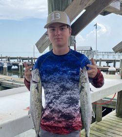 Two Spanish mackerel caught fishing in Gulf Shores Alabama