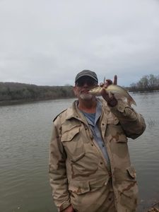 Lake Truman, MO Fishing