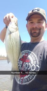 Missouri Fishing Guide