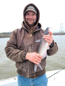 Missouri fishing