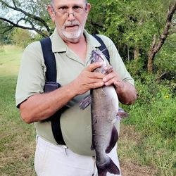 Guided Missouri Lake Fishing