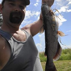 Truman Lake Fishing