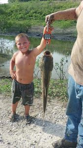 Missouri Trout