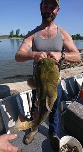 Catfish Fishing