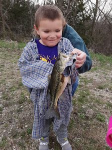 Lake Missouri Fish
