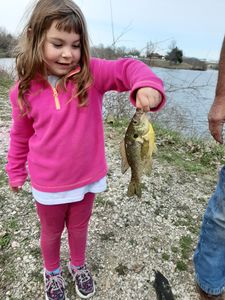 Fishing in Missouri