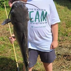 A stunning blue catfish caught in Kirksville