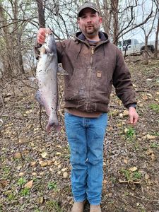 Angler holding a blue catfish in Missouri
