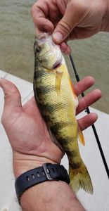 One fishing adventure in MO