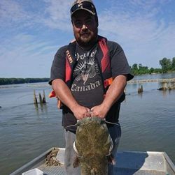 Flathead catfish caught in MO