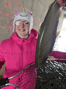 Rainbow trout catch displayed in net in North East PA