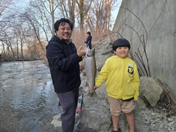 Rainbow trout catch displayed near stream in North East PA fishing location