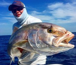 One person fishing in Tavernier