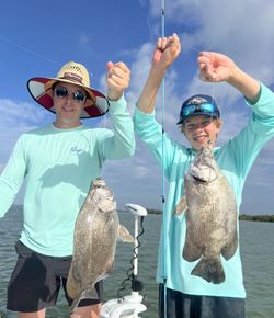 Two tripletail fish caught while fishing in Tavernier