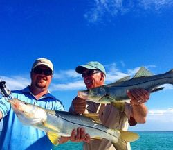 Two snook fish being caught while fishing in Tavernier