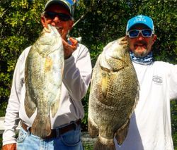 Two tripletail fish caught during a fishing trip in Tavernier