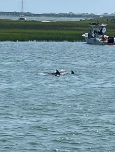 Scenic cruises in North Carolina