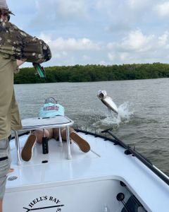 Tarpon jumps never get old.