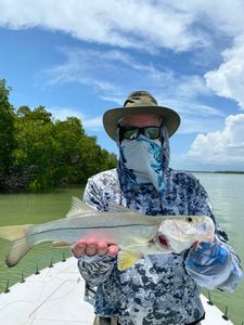A large snook fish caught in Florida