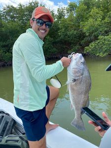 A person fishing for a black drum fish in FL