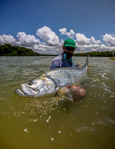 Tarpon on the line—let the fight begin!